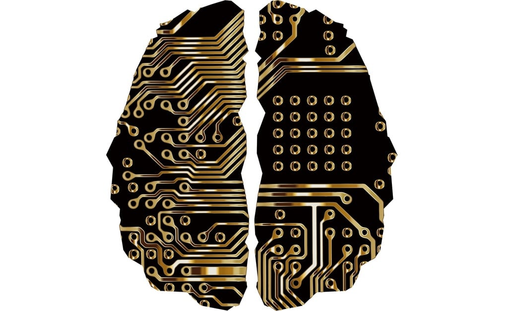 Les neurosciences aujourd'hui